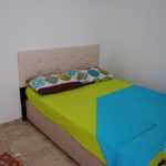 YONCA APART AVŞA  %name