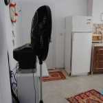 YONCA APART AVŞA  %name