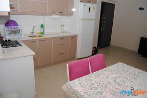 alya-apart-avsa-yigitler-mustakil-daireler (9)