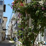 ADAROOM APART OTEL AVŞA  %name