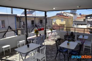 asya-17-24-apart (1)